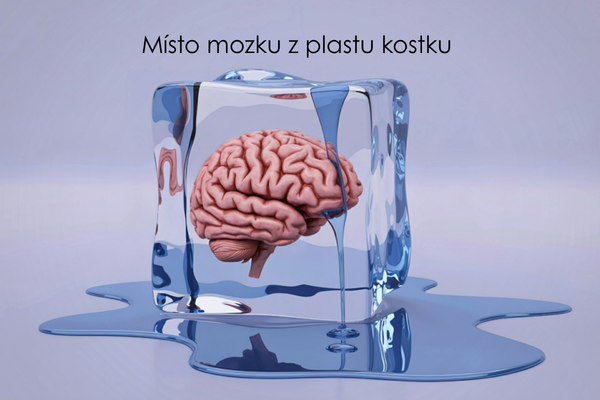 Místo mozku z plastu kostku